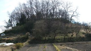 群馬県内では、太田市に残る古墳に次いで大きな前方後円墳