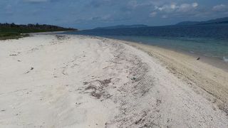 響きあうサンゴの砂