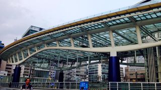 冬は人工スケートリンクがあります。