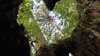 結構混んでいます