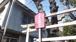 「開運長寿」のお稲荷さんです