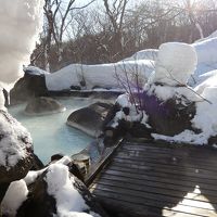 露天風呂の入り口と言うのかな