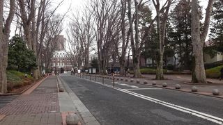 風情のある光景。