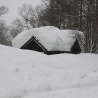 メープルホスト 写真