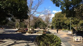 茗荷谷駅からすぐ。緑豊かな公園です