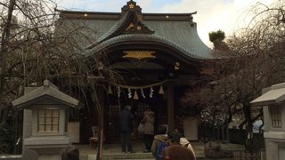 紅梅まつりをやっています