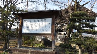 あまり知られていない歴史にびっくり！