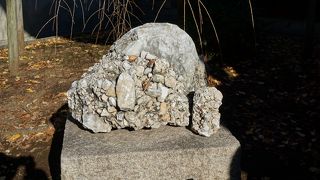 特に乃木大将との関係があるということではないようですが