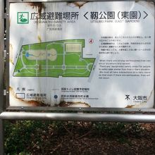 確かに飛行場に見えてくる