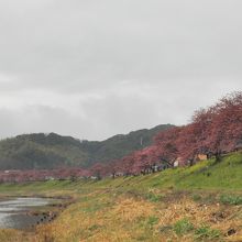 部屋から見れませんが歩いて５分もあれば