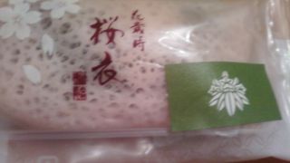 目でも満腹する美しい和菓子。