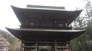 大きくて立派！見ごたえあり！