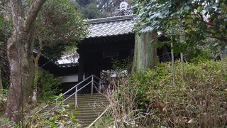 中は見えませんが…