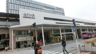 タコ足のように増殖している