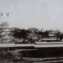 国宝時代の写真