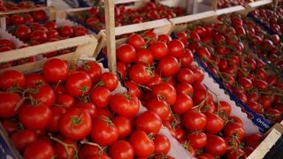 新鮮な食材や雑貨がいっぱい！