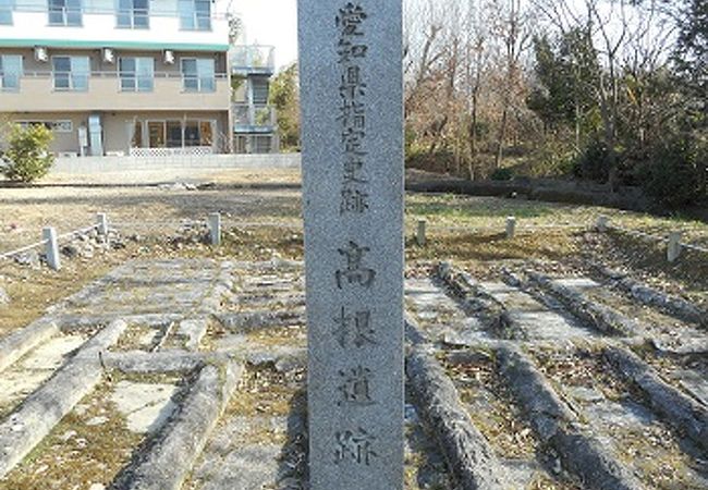 高根遺跡