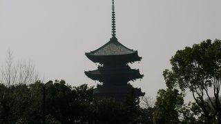 京都のランドマークとも言える日本一高い五重塔がある寺です