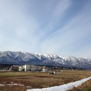 高山植物が綺麗な山!!