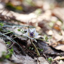 １４年３月１９日　