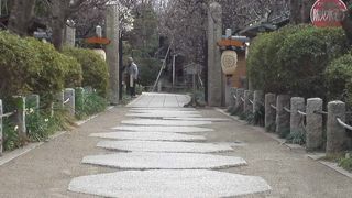 萩で有名なお寺