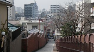 関東の富士見百景なのに・・・