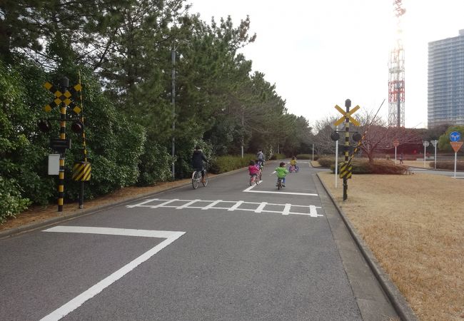 楽しく交通ルールを学べる