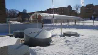 学術的価値が分からないとオブジェのように見える