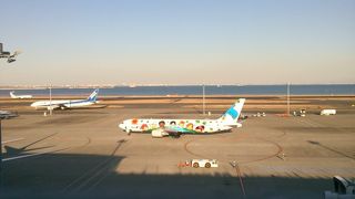 飛行機スポット