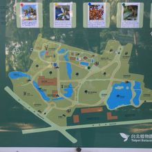 そんなに広くはなくコンパクトな大きさ