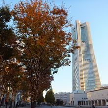 横浜美術館もいっしょに