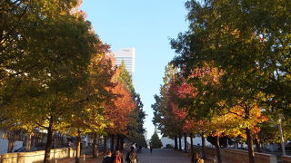 なんといっても秋の紅葉が美しい