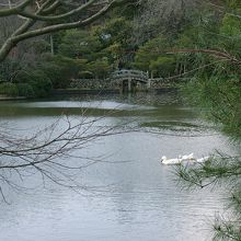 寺の南側にある鏡容池と回遊庭園