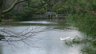 再度訪れたくなるような気をおこさせる不思議な寺でした