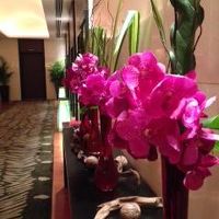 クラブラウンジ