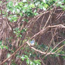 ほんとうにラッキー。