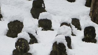 愛宕念仏寺の羅漢さんも雪ですっぽり。