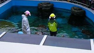 姫路市立の水族館