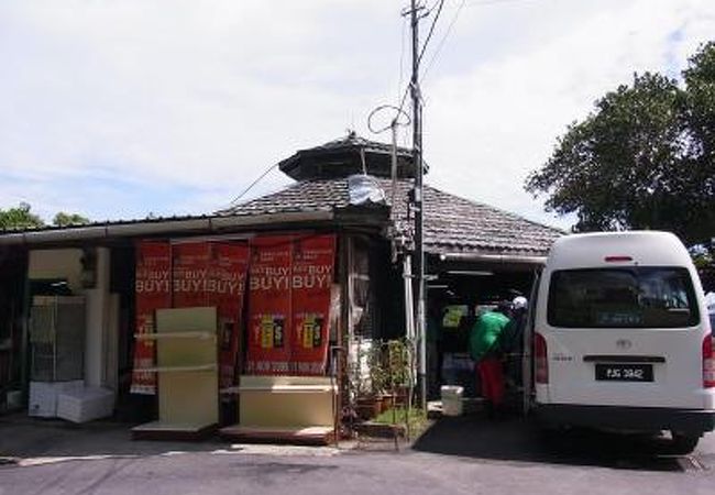 定番な果物から未知のものまで！