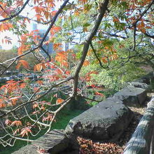 石垣の淵から下を見ると足がすくむほどの高さでした。