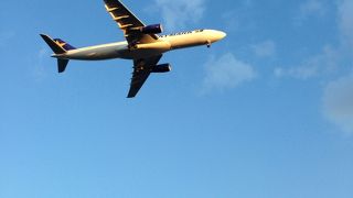 童心に帰れます