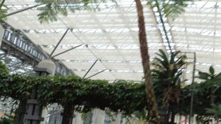 温室内は別世界。