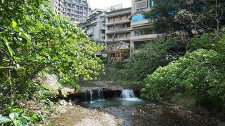 南国の雰囲気の公園。