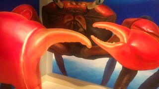 カメラ越しの方が