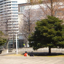 広場で寛ぐ人達