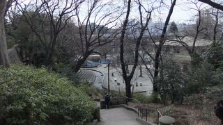 3月中旬から4月の初旬には桜が見頃です。