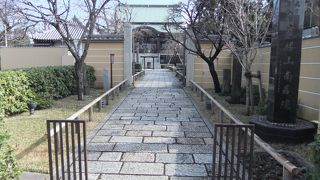 枝垂桜の名所です。