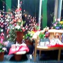 パサールの入り口のひな飾りです。2月に撮影