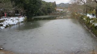 小倉池に氷が張って。