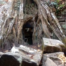 ただただ素晴らしい・・・！！溜め息が出てしまいます。